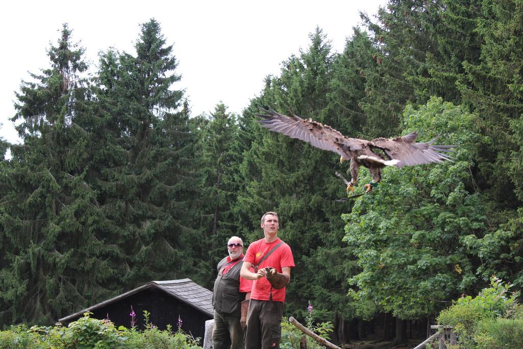 Das Kleine Glück Büllingen Exterior foto